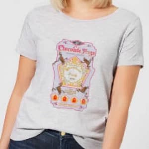 Harry Potter Chocolate Frog Womens T-Shirt - Grey - 3XL