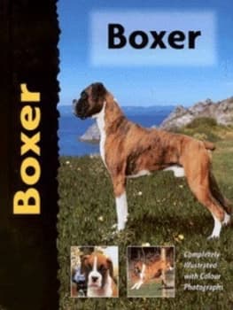 Boxer by Edward Winston Cavanaugh and Renee Low Hardback