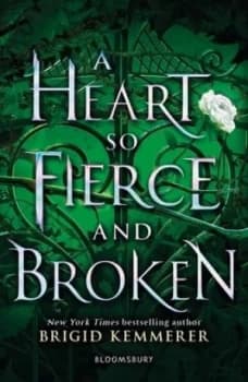 A heart so fierce and broken by Brigid Kemmerer