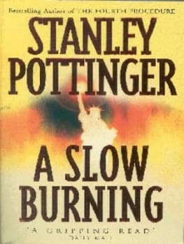 A Slow Burning by Stanley Pottinger Paperback