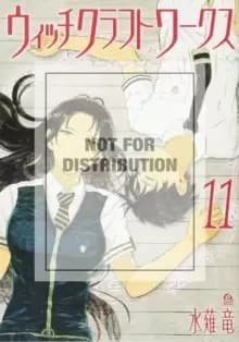 Witchcraft Works Volume 11