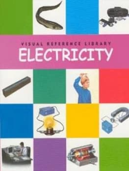 Electricity by J Dineen Paperback