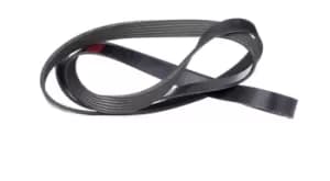 RIDEX V-ribbed belt 305P0095 Serpentine belt,Auxiliary belt VW,MERCEDES-BENZ,BMW,Transporter IV Bus (70B, 70C, 7DB, 7DK, 70J, 70K, 7DC, 7DJ)