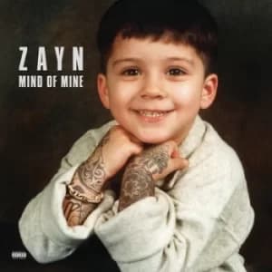 Mind of Mine by Zayn Vinyl Album