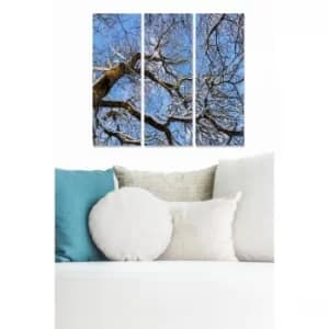 MDF3880359 Multicolor Decorative MDF Painting (3 Pieces)