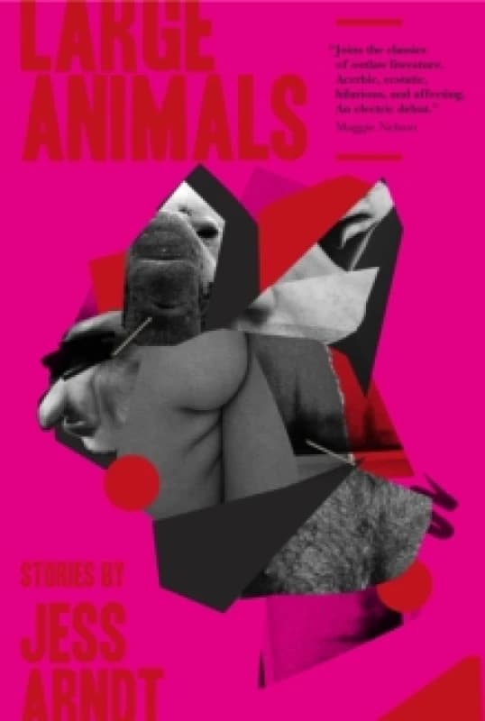 Large Animals Paperback / softback