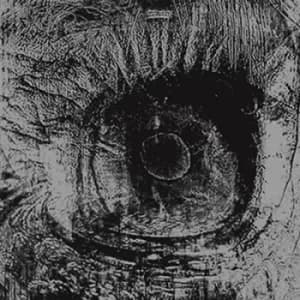 7 Skies H3 by The Flaming Lips CD Album