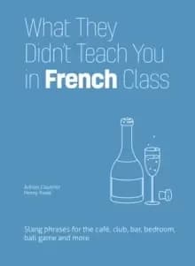 What They Didn't Teach You In French Class : Slang Phrases for the Cafe, Club, Bar, Bedroom, Ball Game and More
