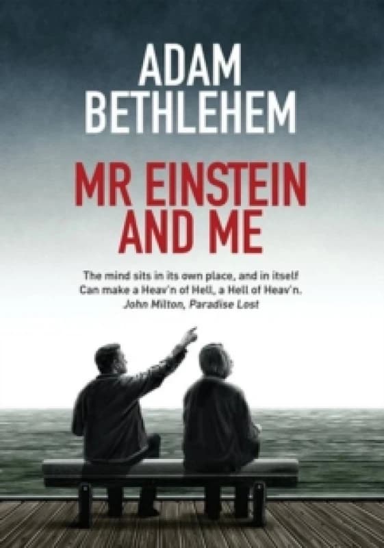 Mr Einstein and Me. Paperback. By Adam Bethlehem Books