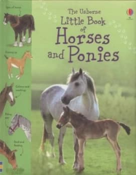 The Usborne Little Book of Horses and Ponies by Sarah Khan and Stephen Lambert and Keith Furnival and Kirsteen Rogers Hardback