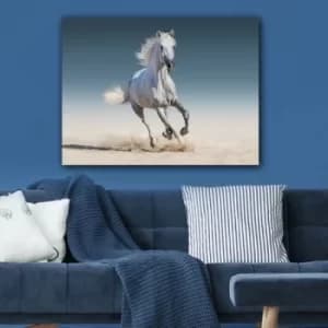 339613850_70100 Multicolor Decorative Canvas Painting