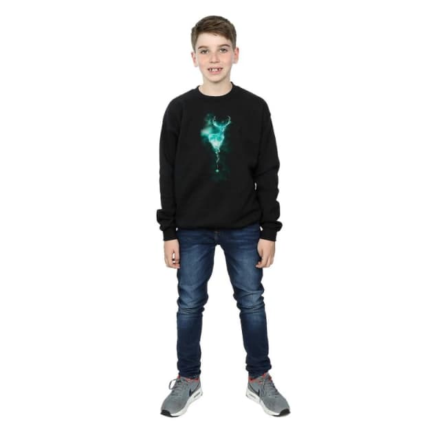 Harry Potter Patronus Mist Stag Sweatshirt Black male