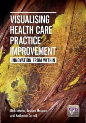 Visualising Health Care Practice ImprovementInnovation from Within