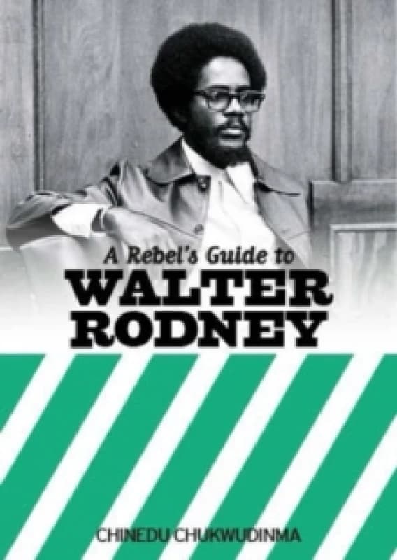 A Rebel's Guide To Walter Rodney Paperback / softback