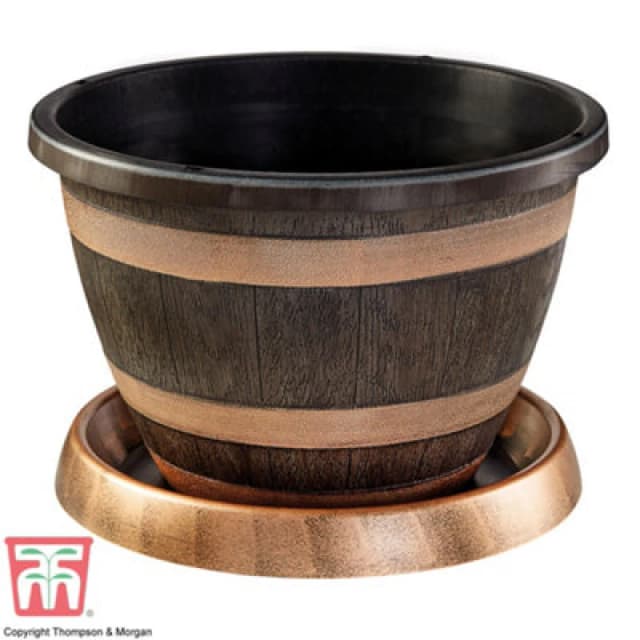 Thompson & Morgan Wooden Barrel Effect Pot & Saucer X 1