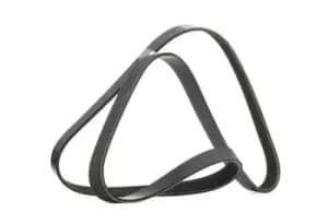 RIDEX V-ribbed belt BMW,NISSAN,HONDA 305P0492 11287565361,11287631824,38920RSRAE020 38920RSRE02,11720VS40A,11720VS40B