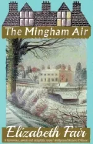 mingham air