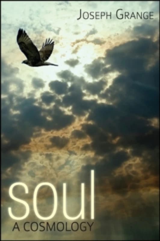 Soul : A Cosmology Paperback / softback