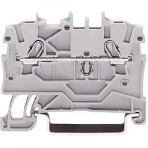 Continuity 3.50 mm Pull spring Configuration L Grey