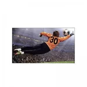 LG 49VL5G 49" 1920 x 1080 Pixels Full HD Resolution HDMI