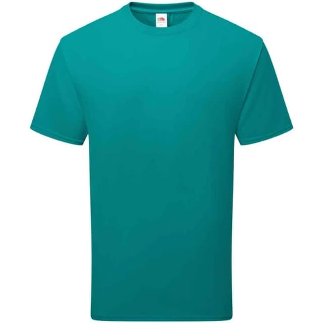 Fruit Of The Loom Fruit of the Loom Men Cotton T-Shirt in Turquoise Size: Medium Turquoise M Male 5063703137539