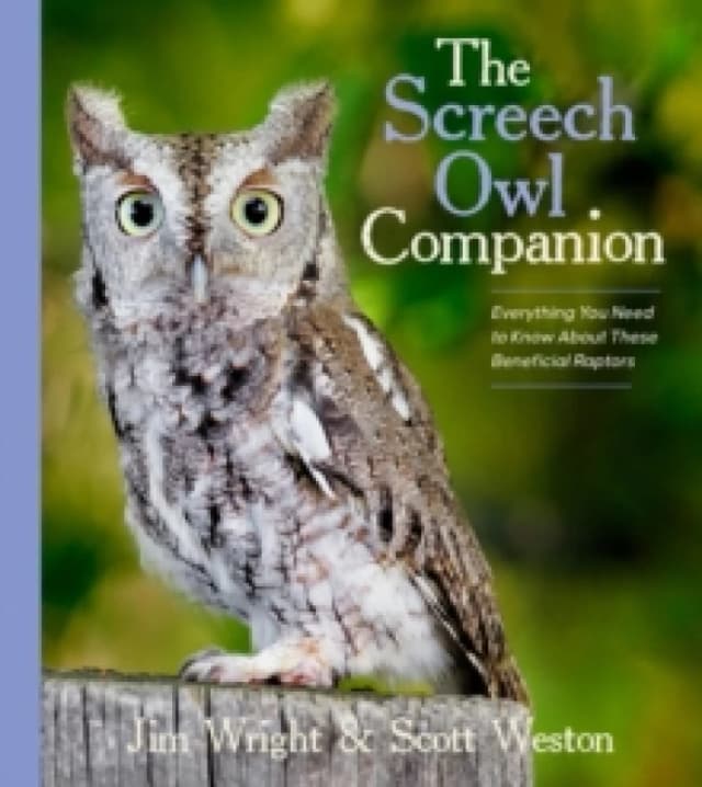 The Screech Owl Companion : Everything You Need to Know about These Beneficial Raptors Paperback / softback