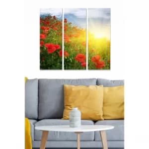 MDF96283640 Multicolor Decorative MDF Painting (3 Pieces)