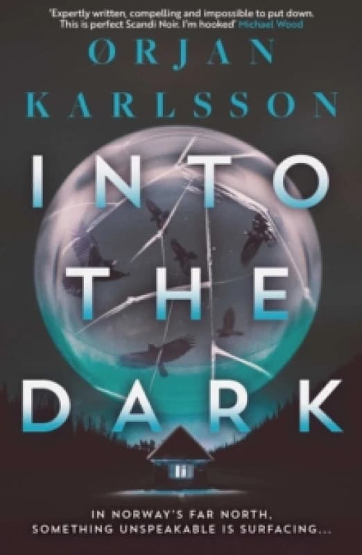 Into The Dark : The dark, twisty new instalment in the chilling Arctic Mysteries series Volume 2 Paperback / softback