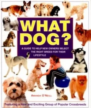 What Dog by Amanda Oneill Book
