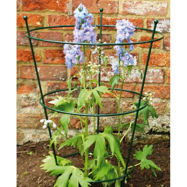 Poppy Forge Small Peony Support (Pack of 2) - Steel - BM/RtR in Green Green Unisex