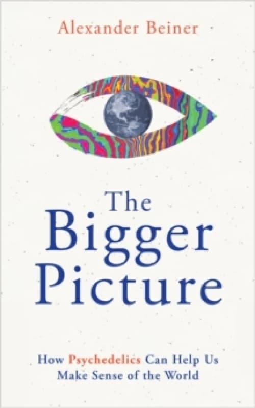 The Bigger Picture : How Psychedelics Can Help Us Make Sense of the World Paperback / softback