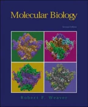 Molecular Biology by Robert F Weaver Paperback