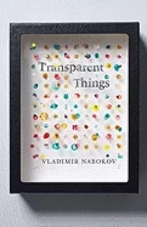 transparent things