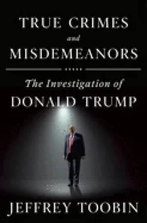 true crimes and misdemeanors the investigation of donald trump