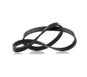 RIDEX V-ribbed belt VW,AUDI,BMW 305P0014 050903137B,050903137C,058260849 Serpentine belt,Auxiliary belt,Poly V-belt,Ribbed belt,Multi V-belt,Poly belt