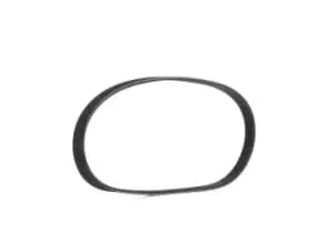 RIDEX V-ribbed belt FIAT,TOYOTA,HONDA 305P0009 11282245179,25183062,96444475 25183062,96444475,9004831012,9004831012000,9004831013,9004831013000