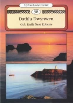 Dathlu Dwynwen by Esyllt Nest Roberts Book