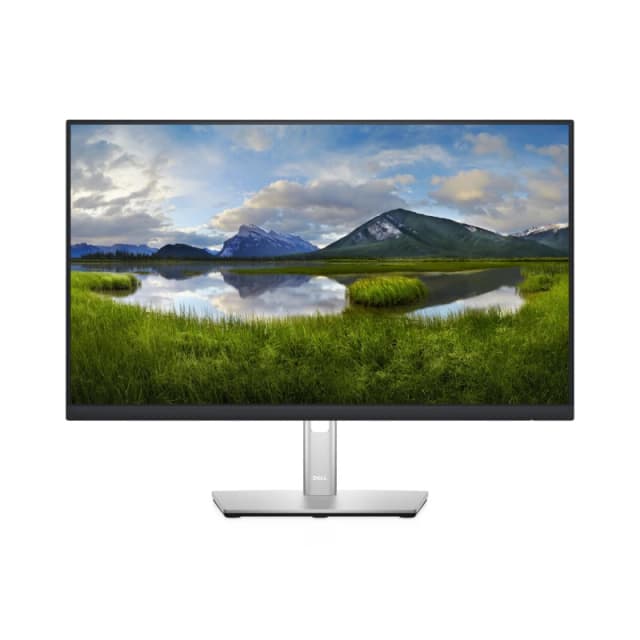DELL P Series P2422H computer monitor 60.5cm (23.8") 1920 x 1080