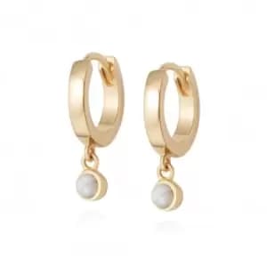 Howlite Healing Huggie Hoops 18ct Gold Plate Earrings HE3006_GP