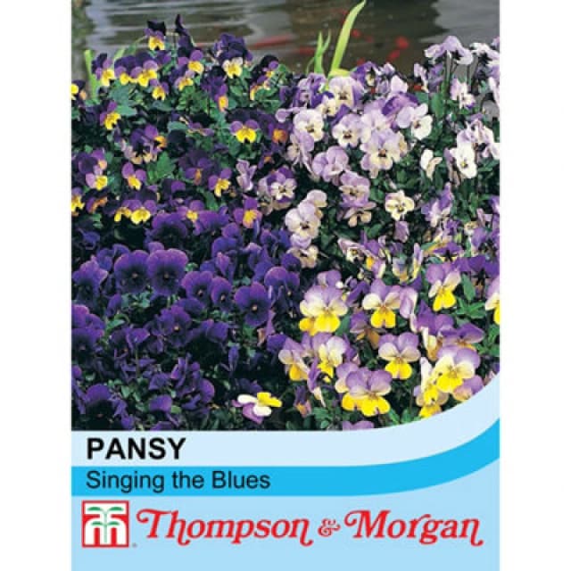 Thompson & Morgan Viola Singing The Blues 1 Seed Packet (25 Seeds)