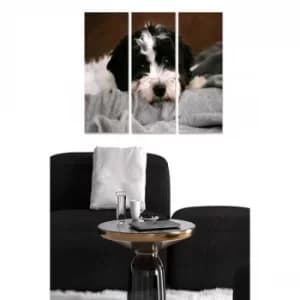 MDF3790078 Multicolor Decorative MDF Painting (3 Pieces)