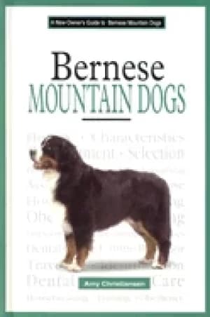 new owners guide to bernese mountain dogs