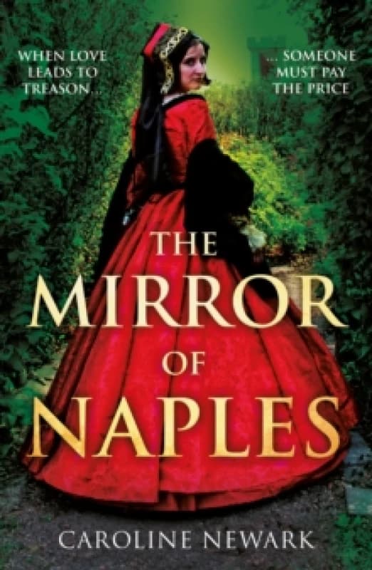 The Mirror of Naples Paperback / softback