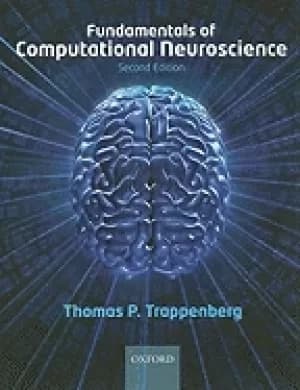 fundamentals of computational neuroscience