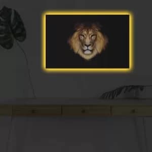 4570DHDACT-045 Multicolor Decorative LED Lighted Canvas Painting