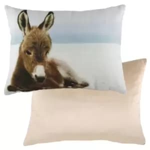 Winter Donkey Cushion Multicolour, Multicolour / 43 x 33cm / Polyester Filled