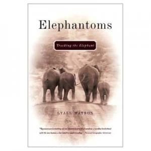 Elephantoms by Lyall Watson Paperback