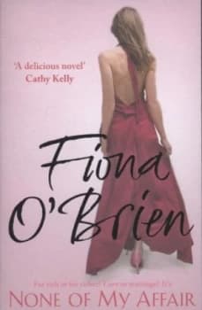 None of My Affair by Fiona O Brien Paperback