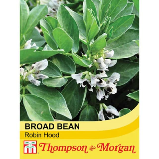 Thompson & Morgan Broad Bean Robin Hood 1 Seed Packet (35 Seeds)