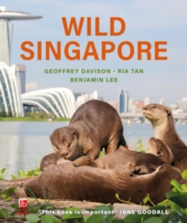Wild Singapore Hardback
